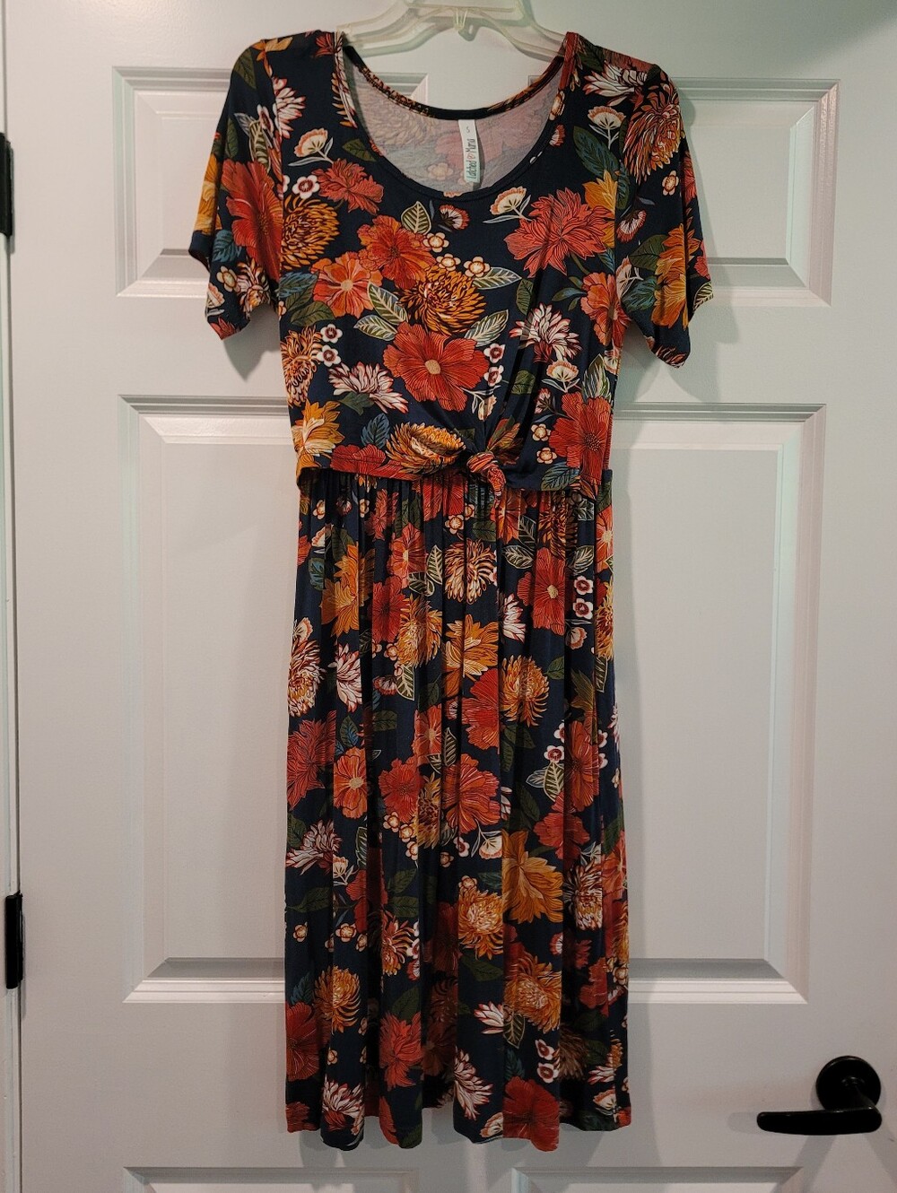 Latched Mama Short Boardwalk Dress